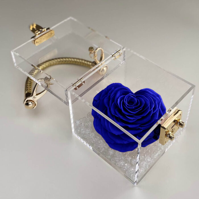 Petit Trésor - Image 6