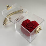 Petit Trésor - Image 4