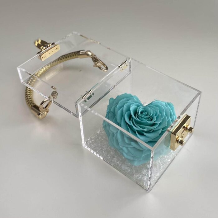 Petit Trésor - Image 3