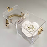 Petit Trésor - Image 2