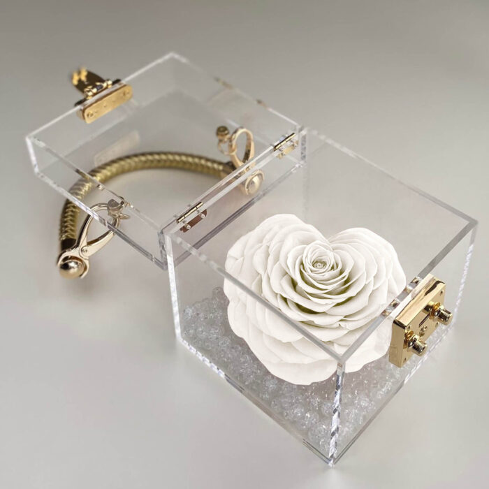 Petit Trésor - Image 2