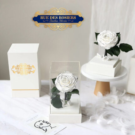 Tuxedo Rose Homage À Coco