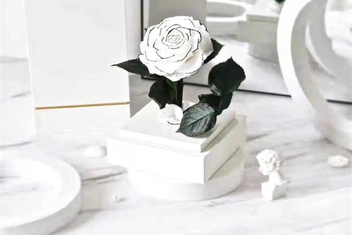 Tuxedo Rose Homage À Coco - Image 2