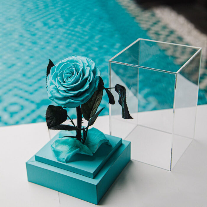 La Rose Du Petit Prince - Image 5