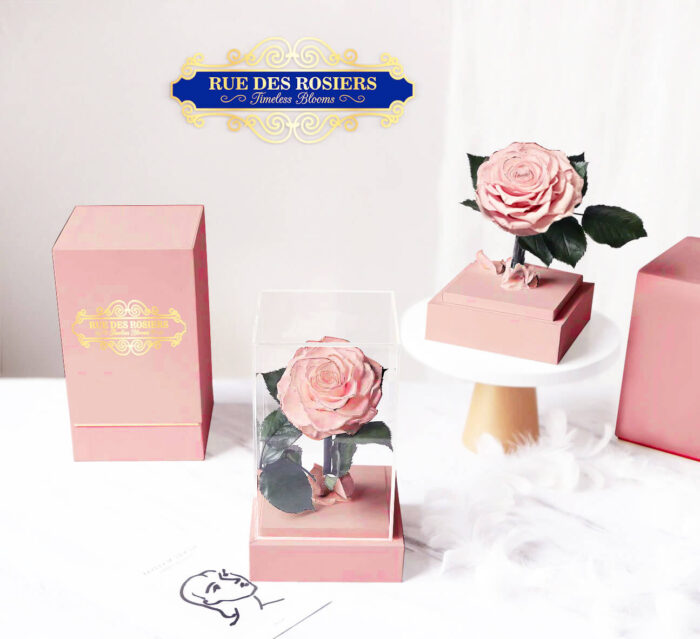 La Rose Du Petit Prince - Image 4