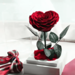 Le Petit Coeur - Image 4