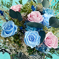 Blue And Pink Roses Poesie