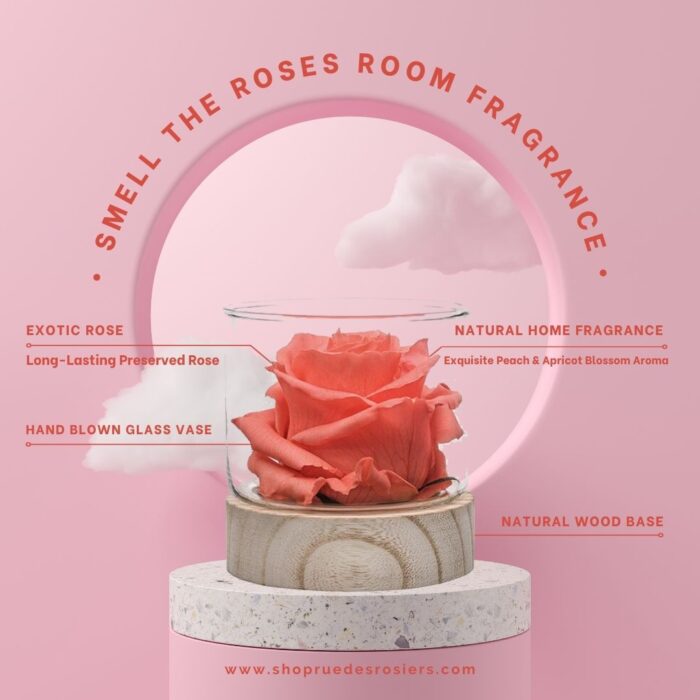 Smell The Roses - Image 7