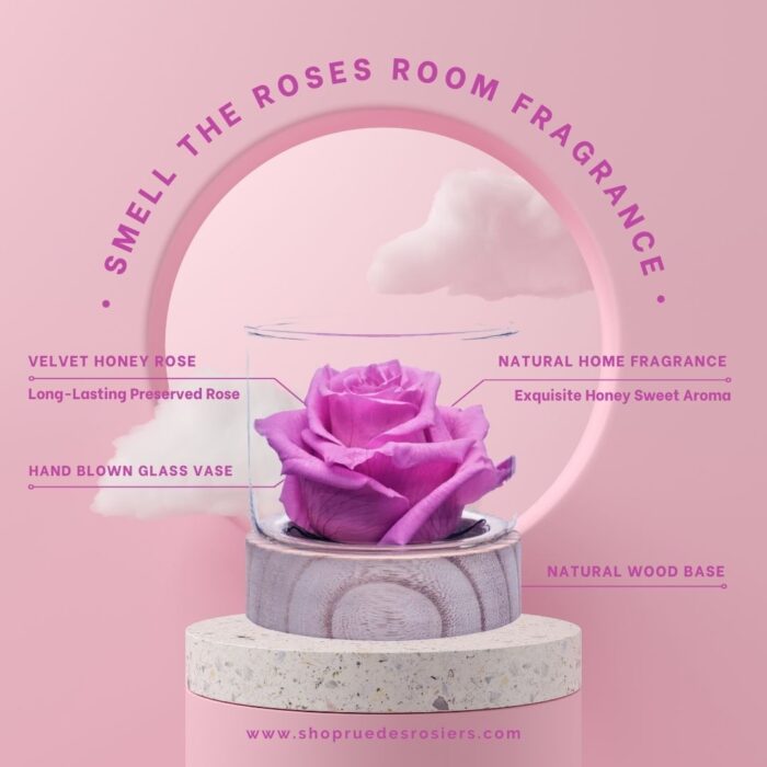 Smell The Roses - Image 5