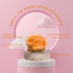 Smell The Roses - Image 4