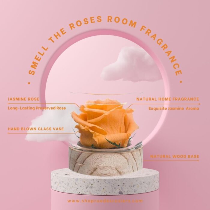 Smell The Roses - Image 4