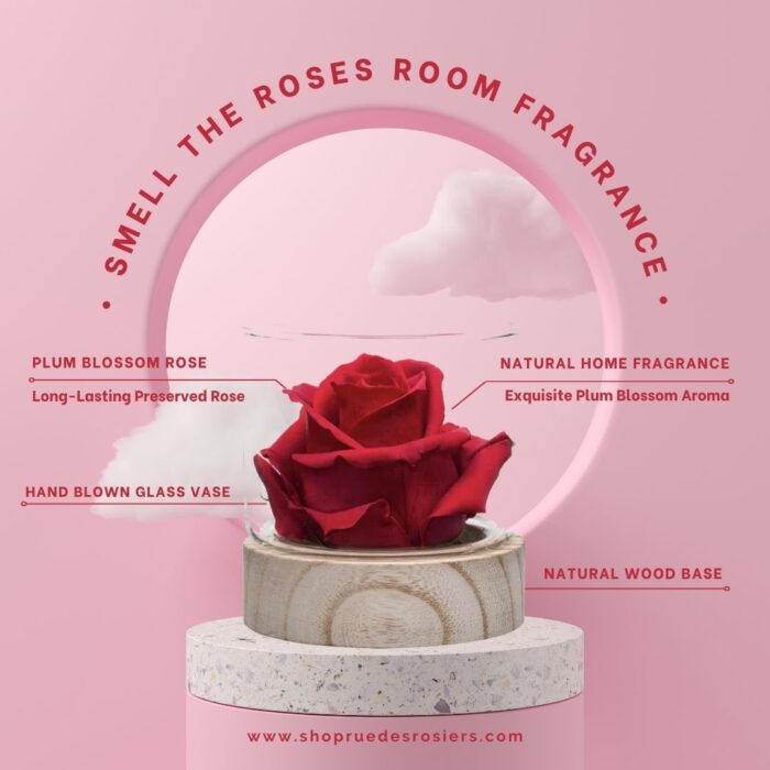 Smell The Roses - Image 3