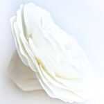 La Grâce De Dieu Creamy Rose Soap Flower - Image 3