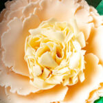 Le Grand Amour Lush Peony Soap Flower - Image 3