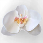 Orchidée Enchanteresse Soap Flower - Image 2