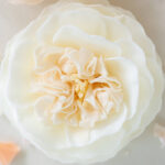 Prière Du Matin Soap Flower