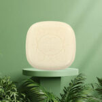 Soap Versailles Garden - Image 3